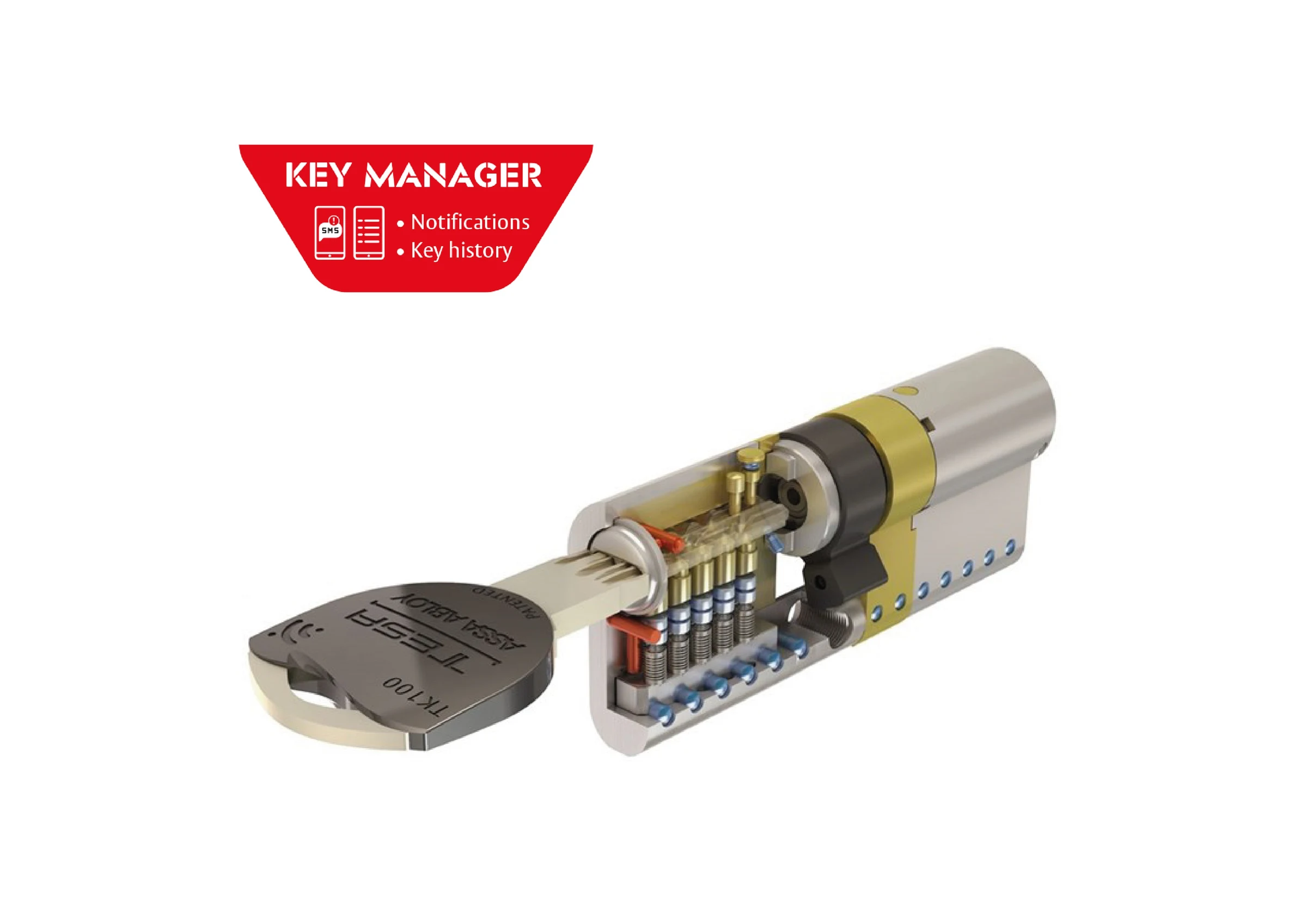 TK100 cylinder — Image 1